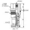 RP-16A-2G-D-8,RP-16A-2G-W-8,winner泄压阀