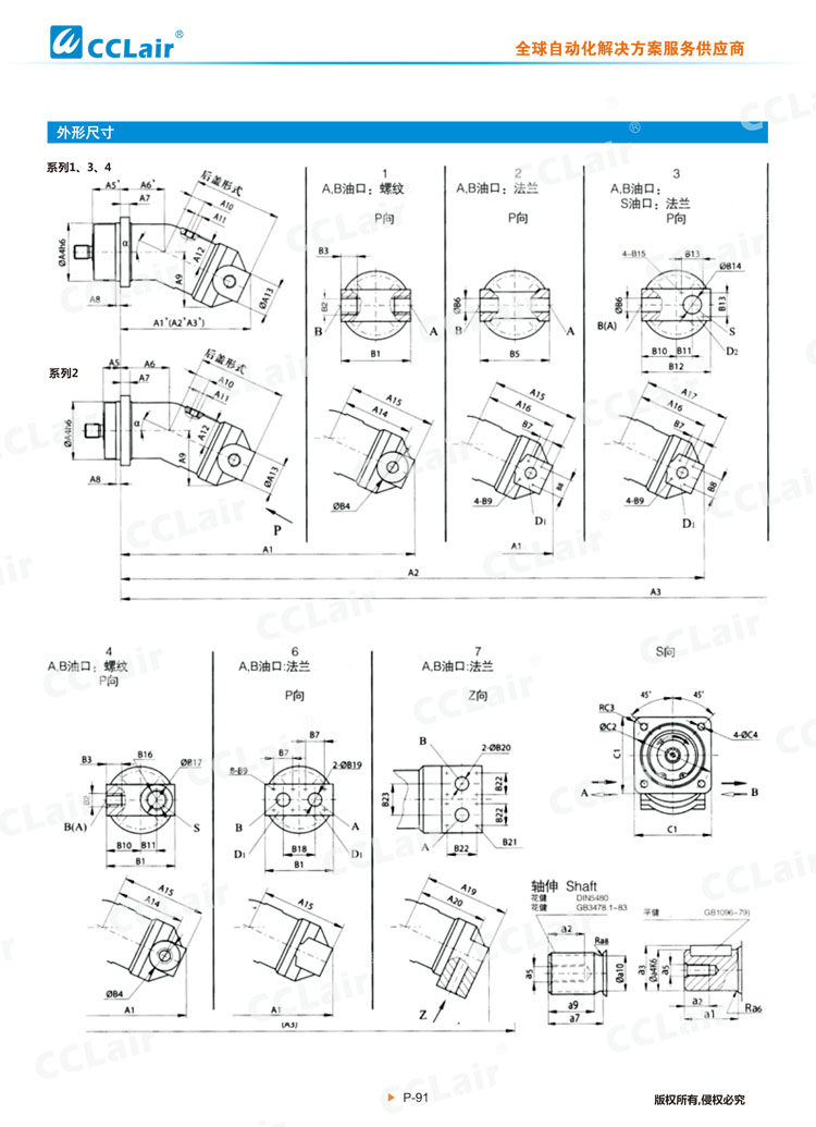 A2F定量柱塞泵 马达-4